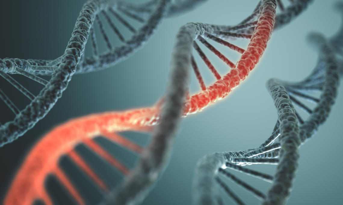 DNA strands. UCalgary Research.