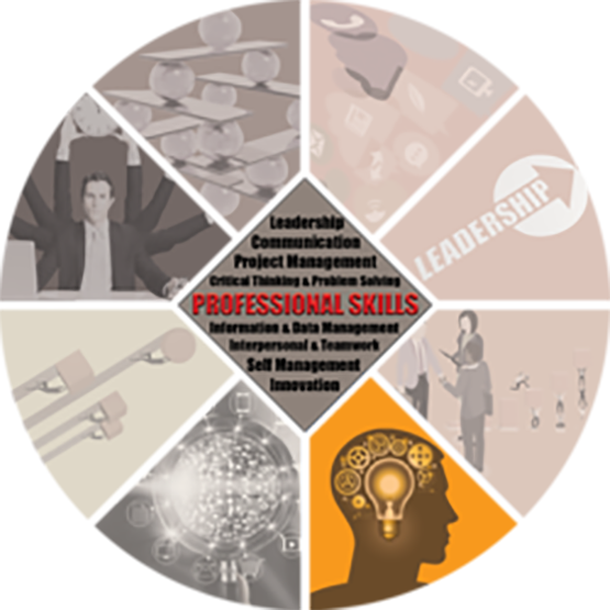 Critical Thinking and Problem Solving