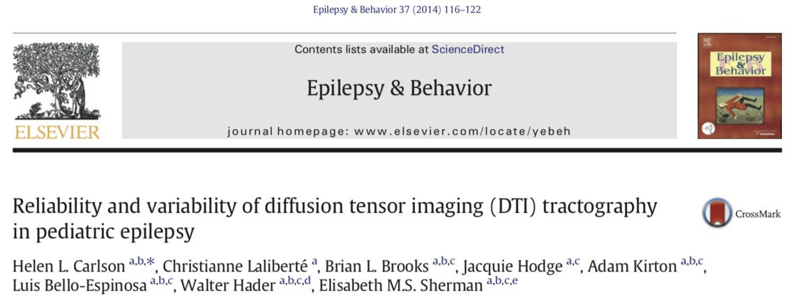 DTI in epilepsy