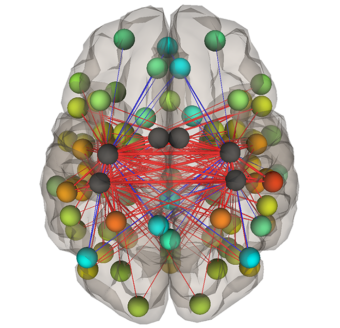 Functional connectivity