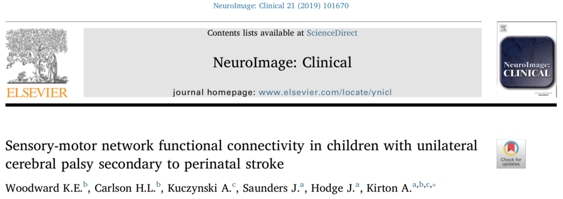 Sensorimotor connectivity