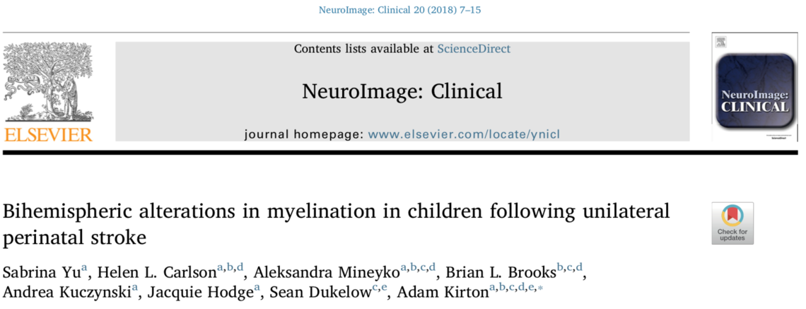 Myelination after stroke