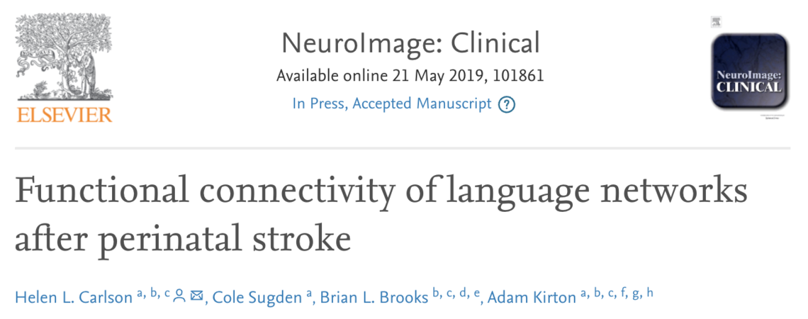 Language networks