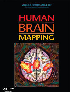 Human Brain Mapping Cover
