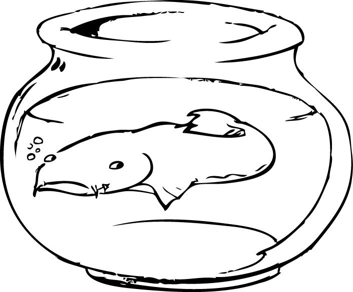 Lamprey Lamprey
