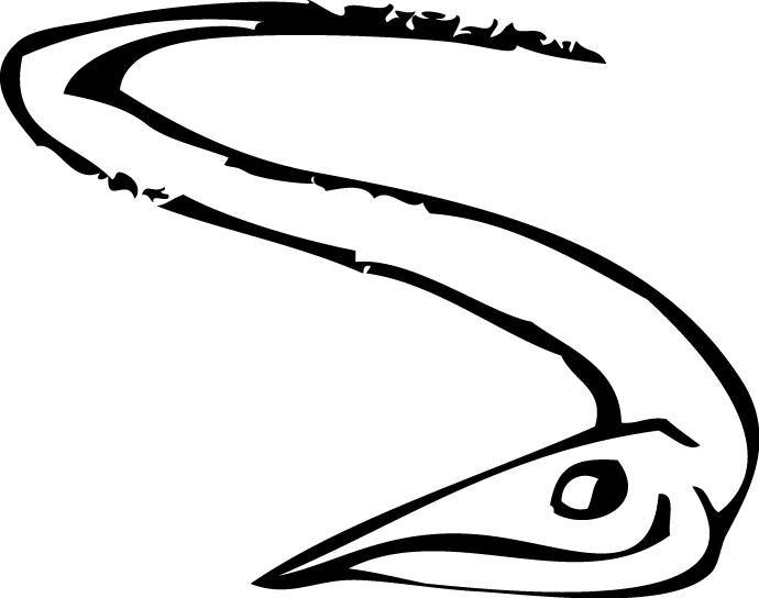 Candirus Candirus