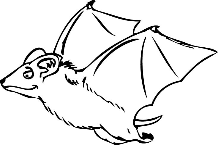 Bat Bat