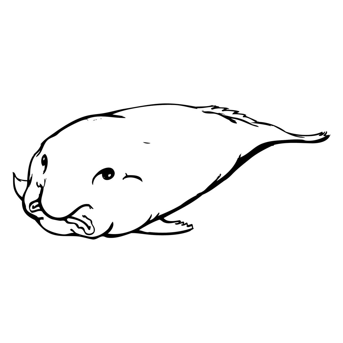 Blobfish