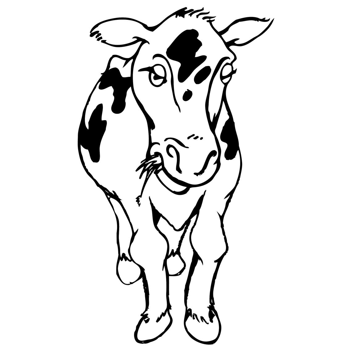 Cow Cow