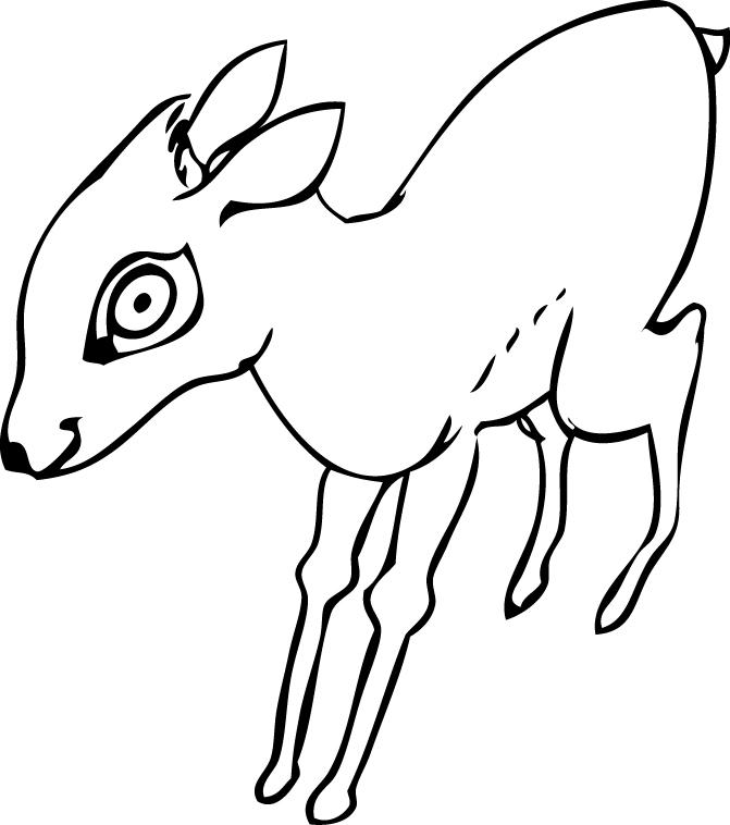 Dik dik Dik dik