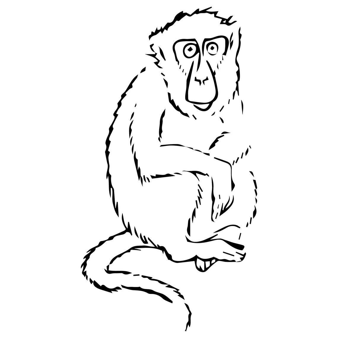 Macaque Macaque