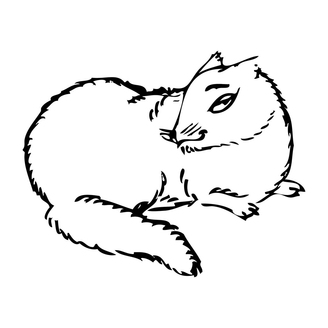 Mink Mink
