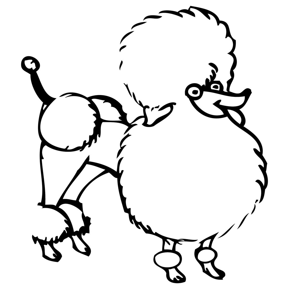 Poodle Poodle