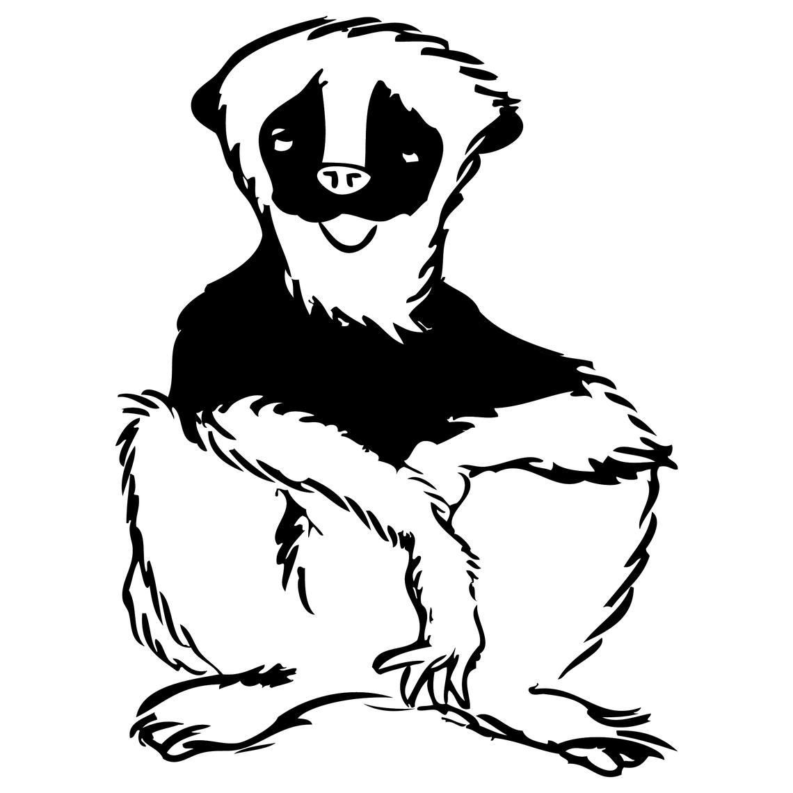 Sifaka Sifaka