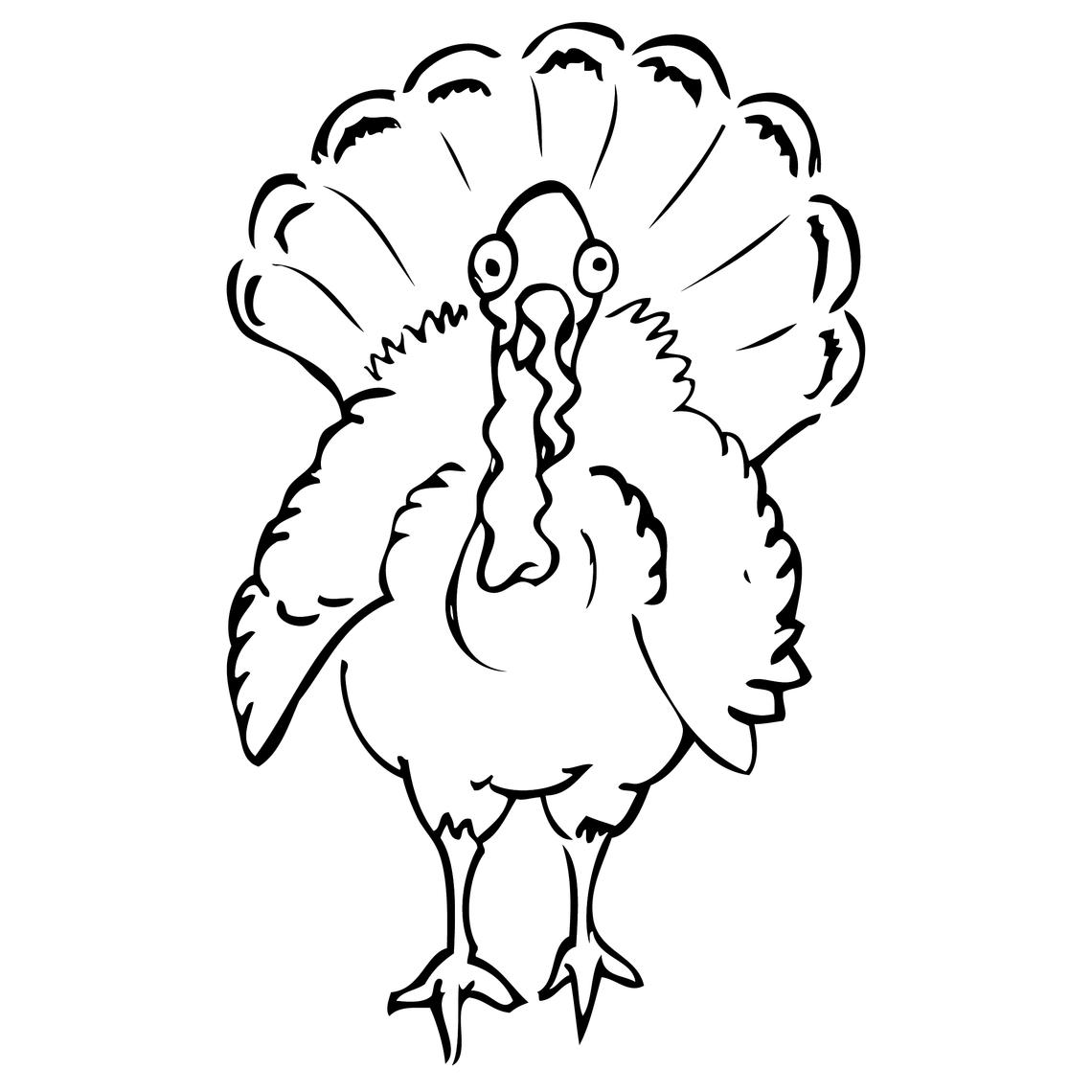 Turkey Turkey