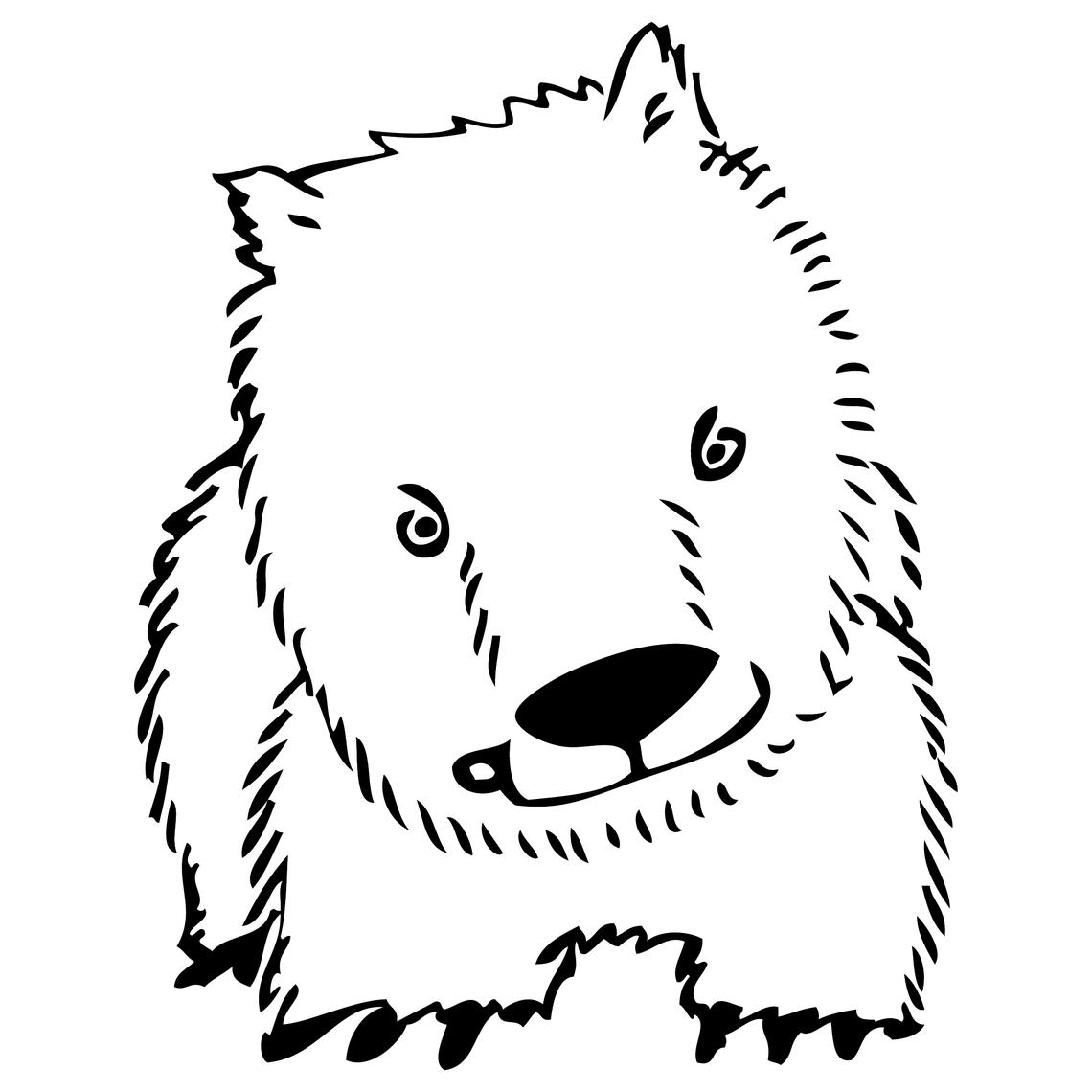 Wombat Wombat