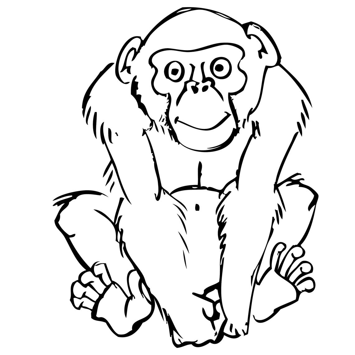 Bonobo Bonobo