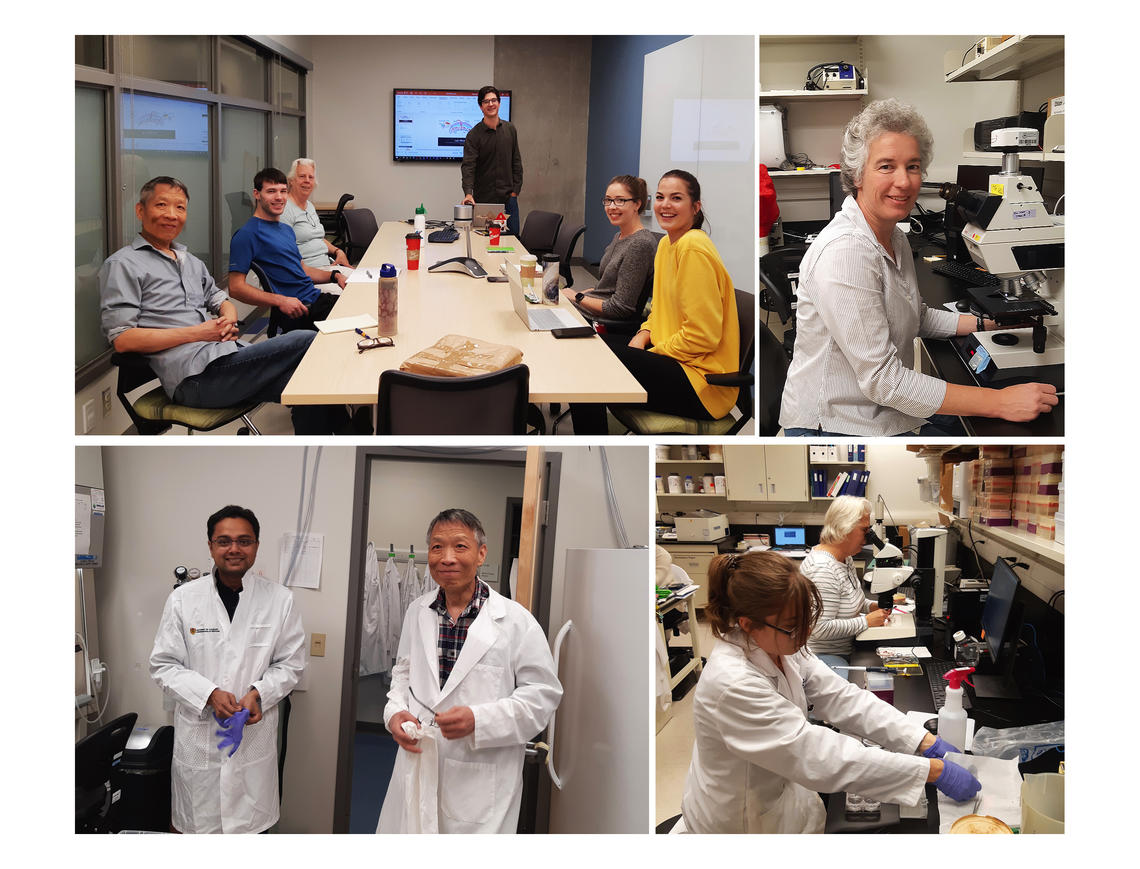 Placenta and Reproductive Health Research Group