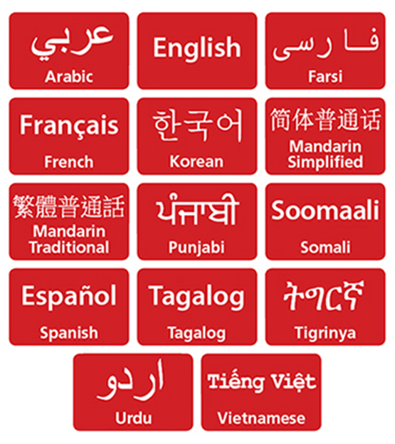 14 language graphic image