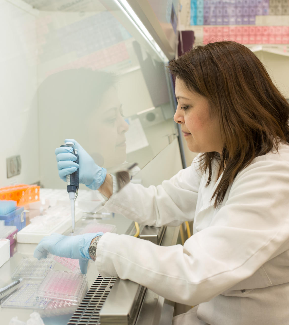 Clinical Research Fund Clinical Research Fund