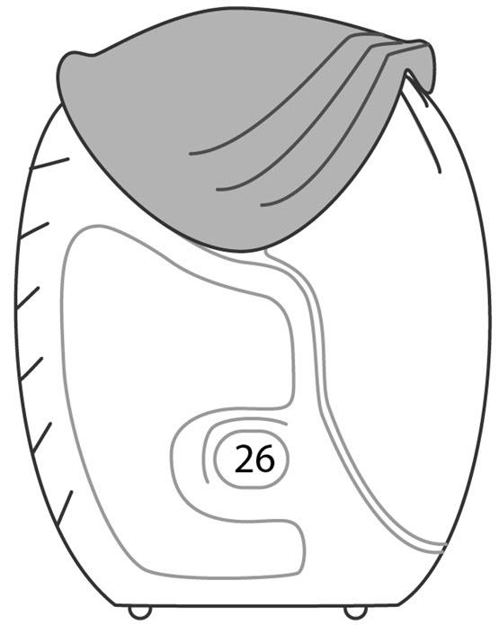 Ellipta asthma device Ellipta asthma device