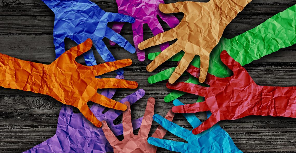 Curriculum Development Support