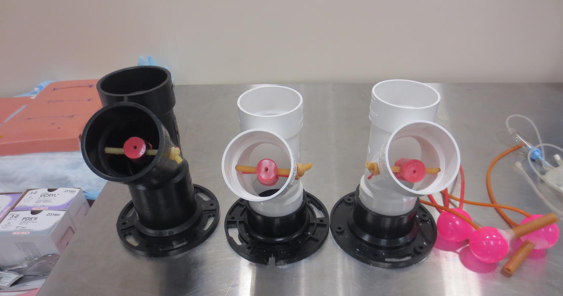 Simulation Model Development