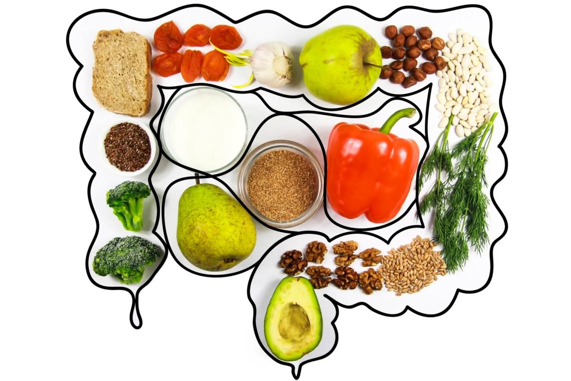 Gut Microbiota