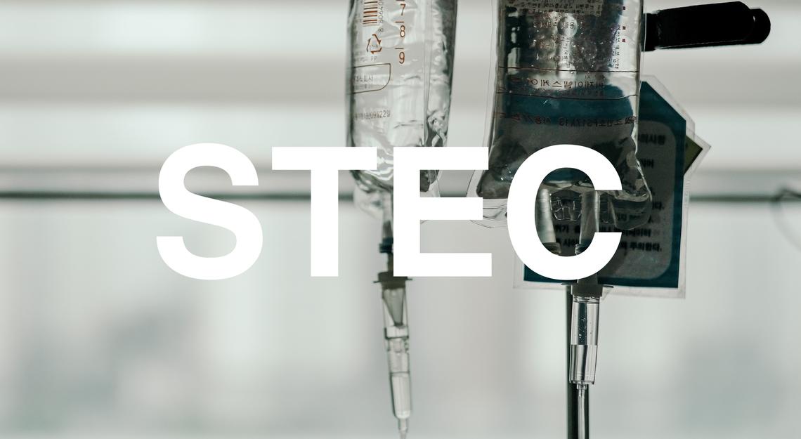 STEC