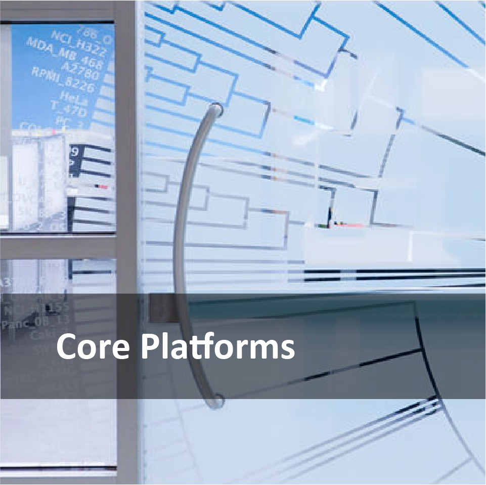 Core Platforms Fundraising