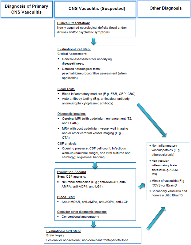 Adult diagnostic algorithm