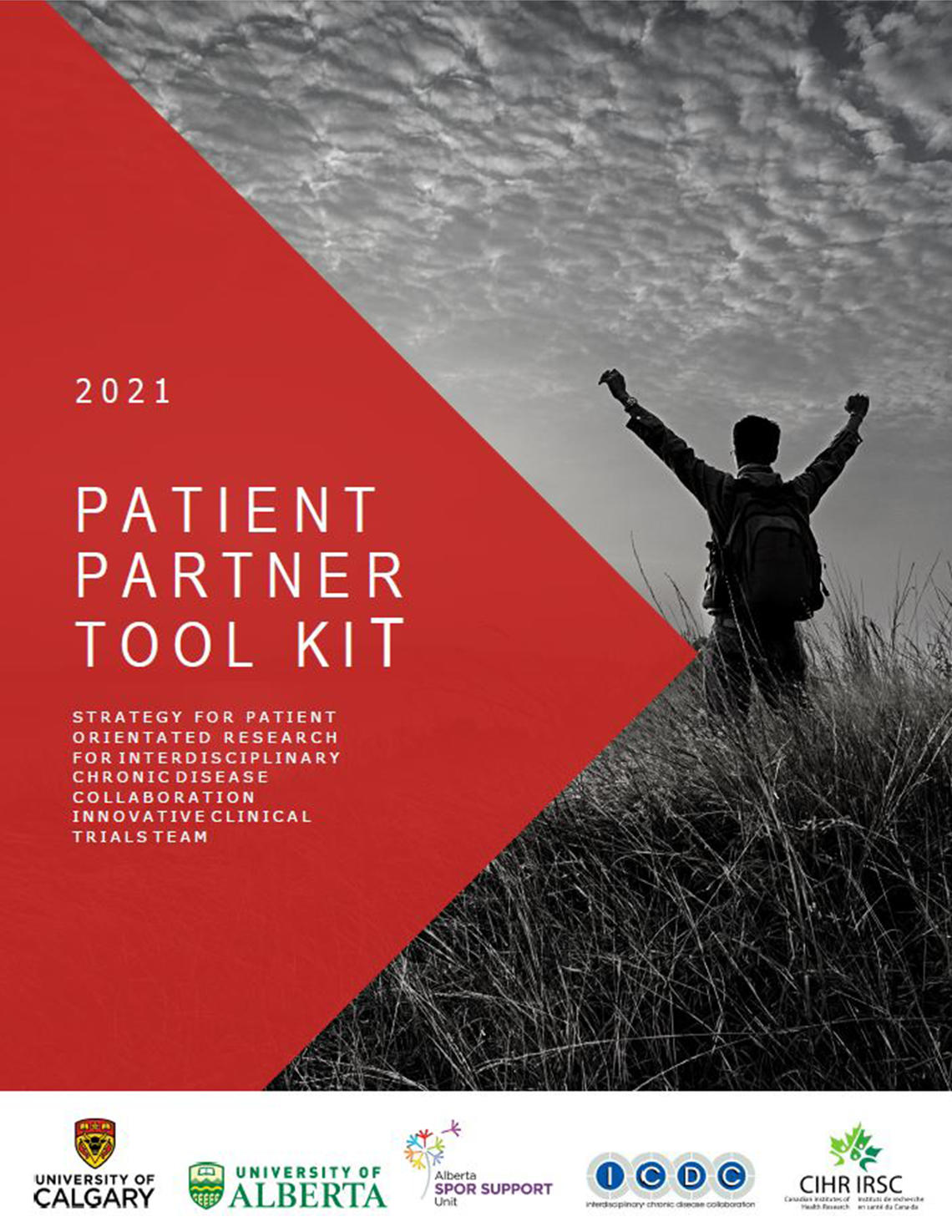 cover for patient partner toolkit, has a person with raised arms above their heard celebrating 