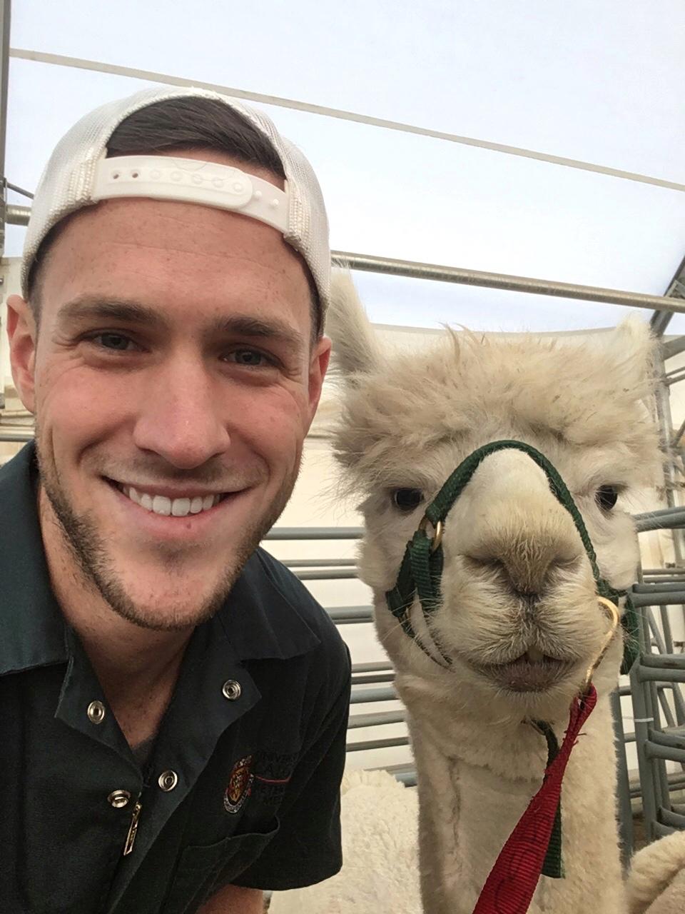 man and a lama