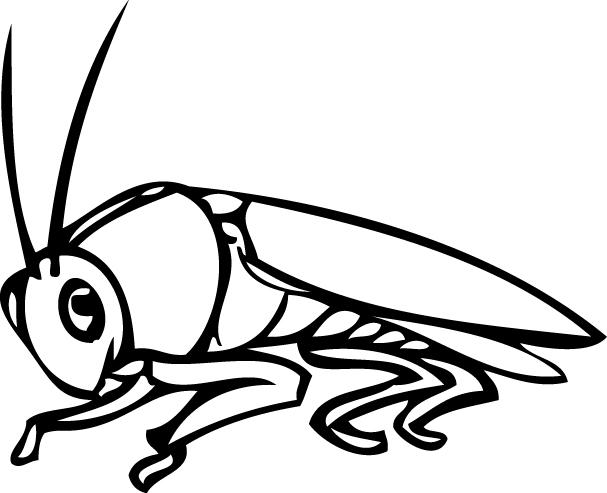1982 Locust