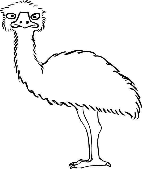 1984 Emu