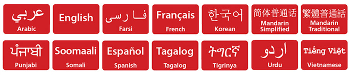 Device Languages