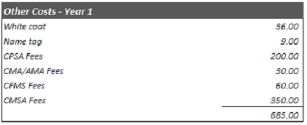 Other Year 1 Costs