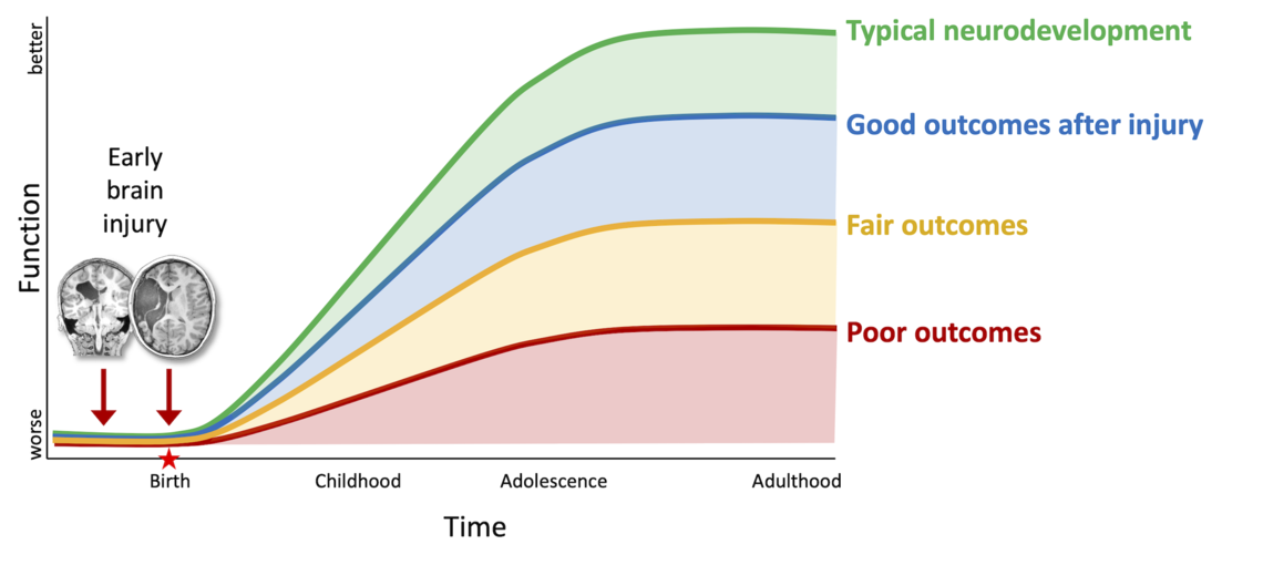 Developmental trajectories