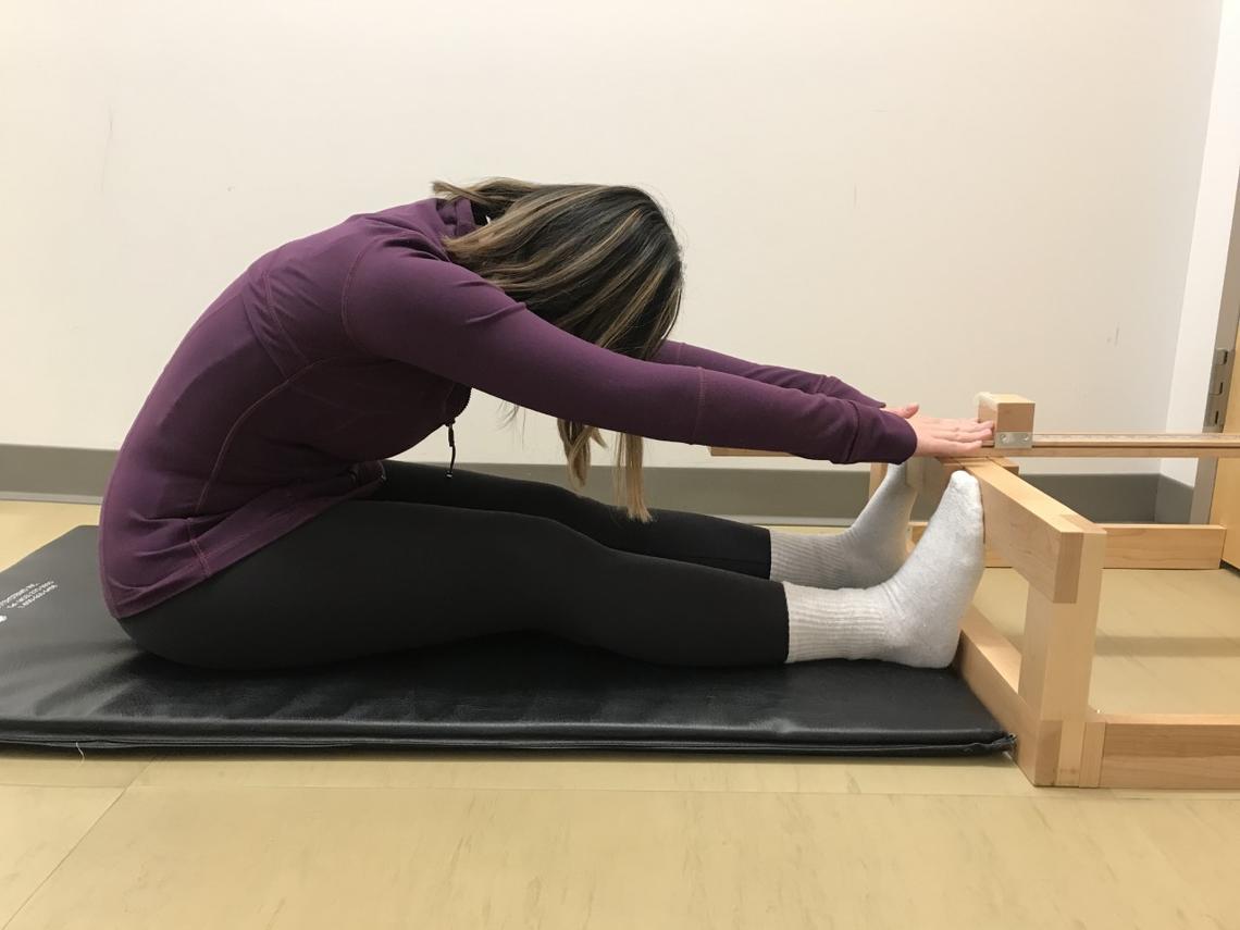 sit and reach test
