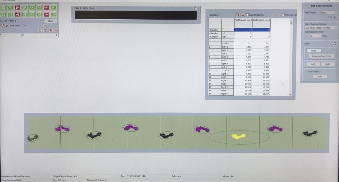 gait data collection and analysis