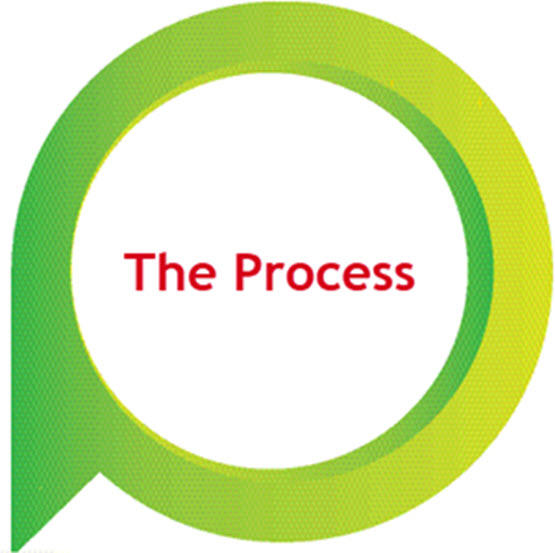 The Process