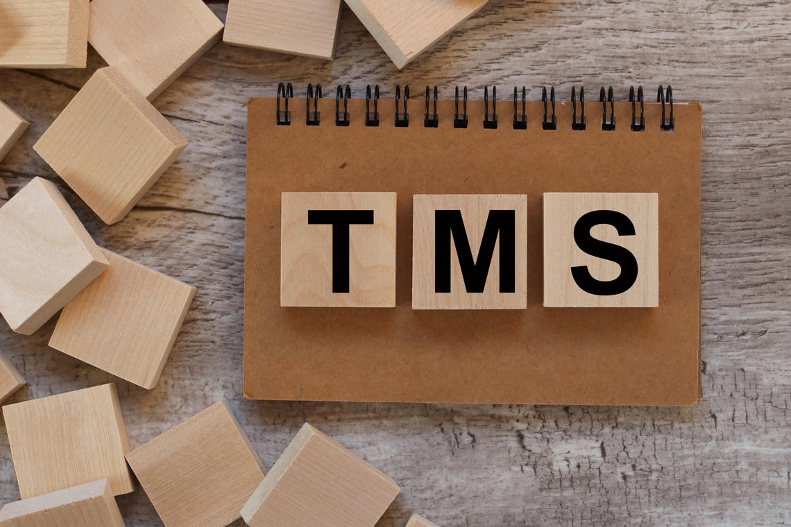 Blocks and wooden pad with TMS written on it