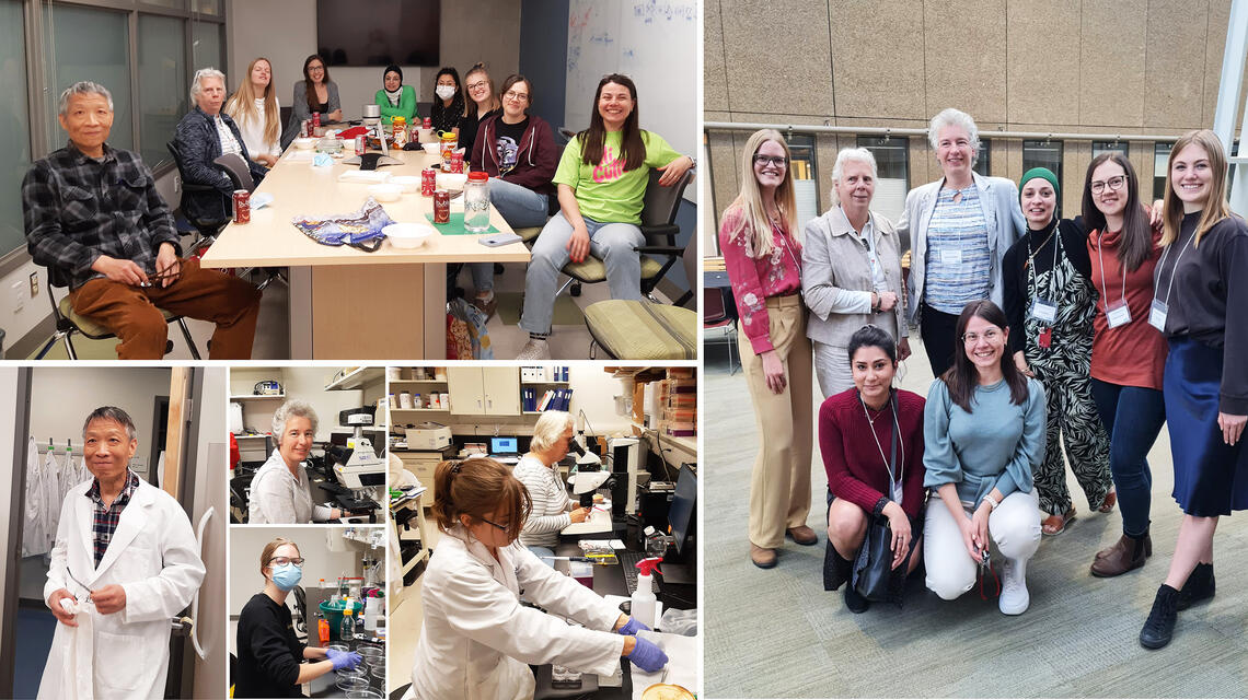 Lab photos