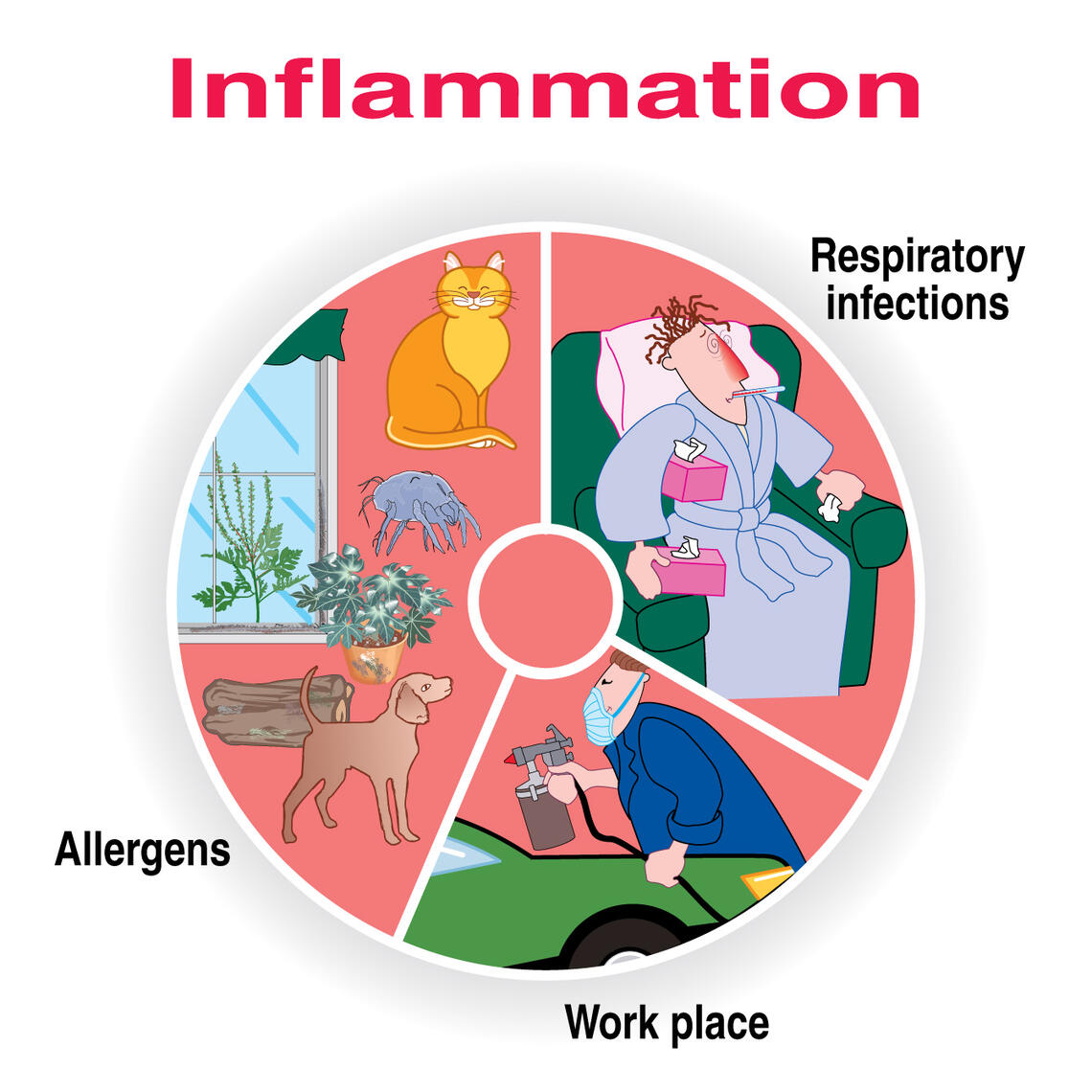 Inflammation