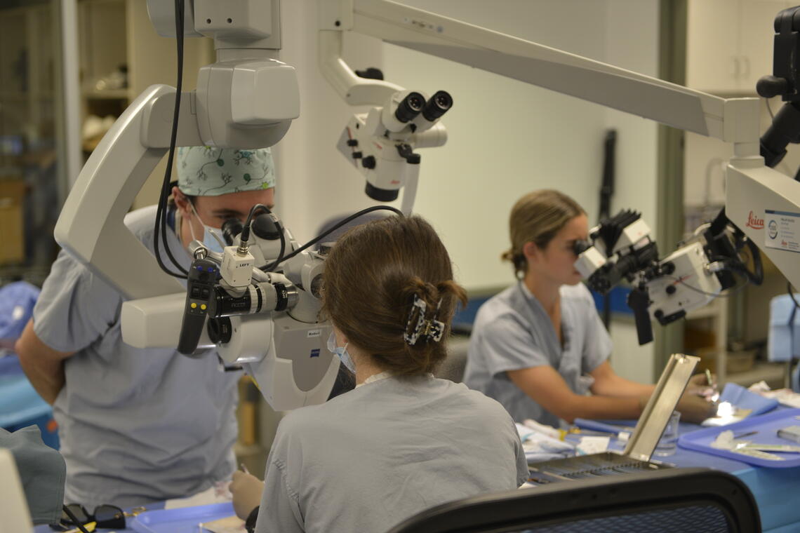 Neurosurgery residents attend an extracranialintracranial bypass course in 2022.