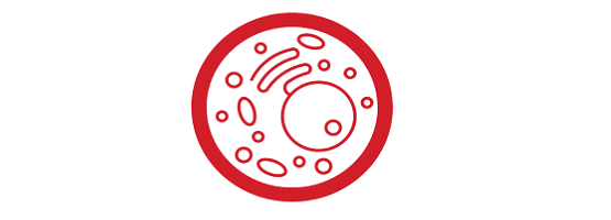 single cell icon