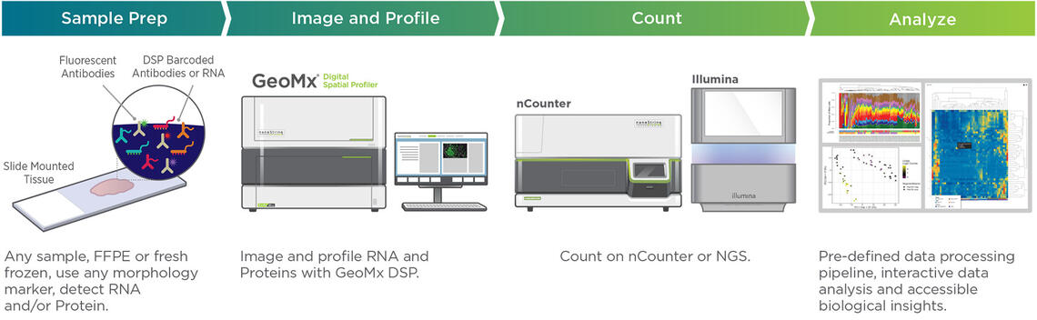 geomx workflow