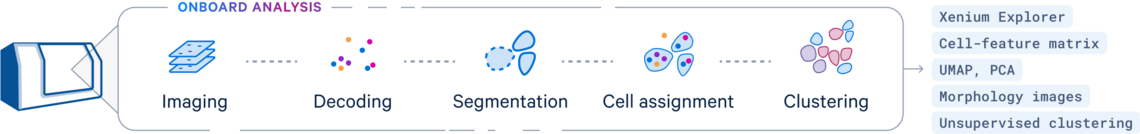 xenium workflow
