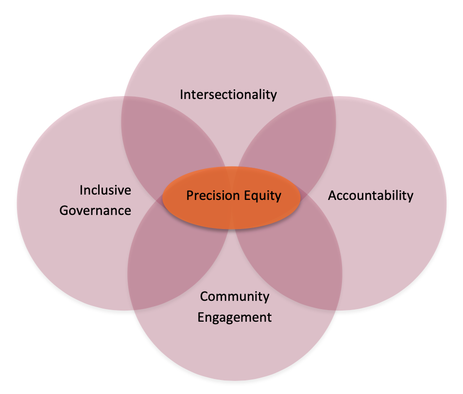 Venn diagram of the elements that create precision equity: community engagement, accountability, inclusive governance, intersectionality