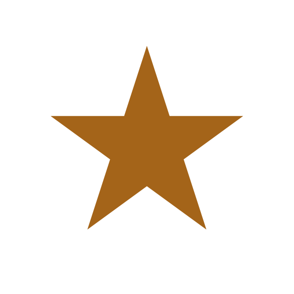 bronze star